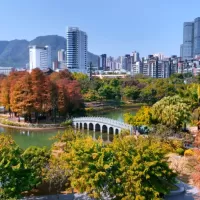 【深圳-南山四海公园】属于深圳人自己的“秋冬限定”