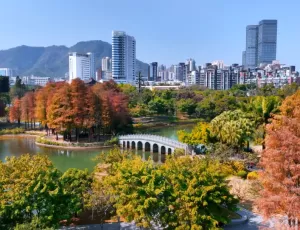 【深圳-南山四海公园】属于深圳人自己的“秋冬限定”